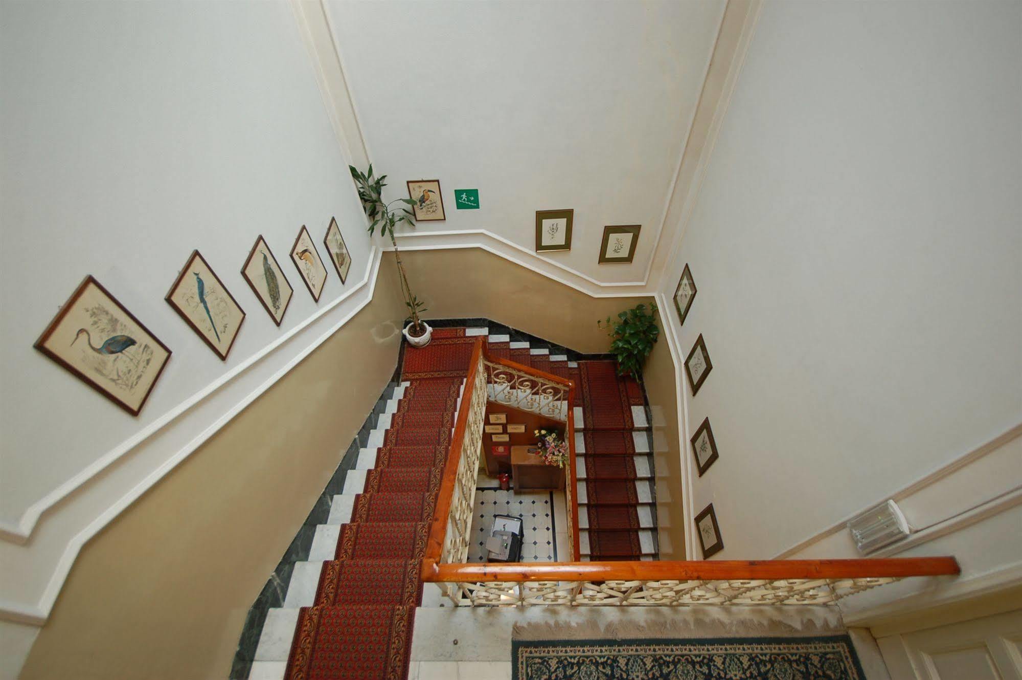 Hotel Ely Viareggio Exteriér fotografie